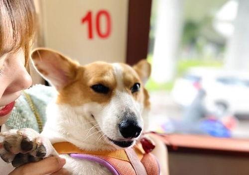 娱乐吃瓜爆料最新版下载,揭秘娱乐圈幕后真相！  第2张