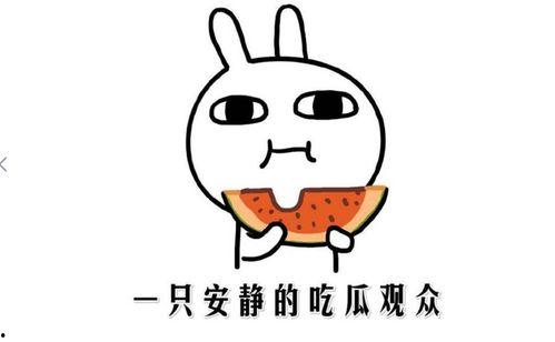 网络上的吃瓜是什么意思  第2张