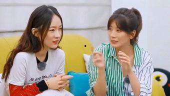 吃瓜娱乐台免费观看完整版,免费畅享明星八卦盛宴