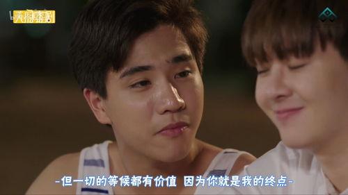 娱乐吃瓜君意难平,揭秘娱乐圈背后的真相与争议