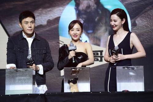 娱乐圈吃瓜爆料长篇合集,揭秘明星幕后真相与八卦传闻  第3张