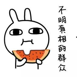 娱乐吃瓜酱背景图