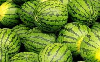 吃瓜网免费官网,畅享海量资讯，轻松获取热门八卦  第2张