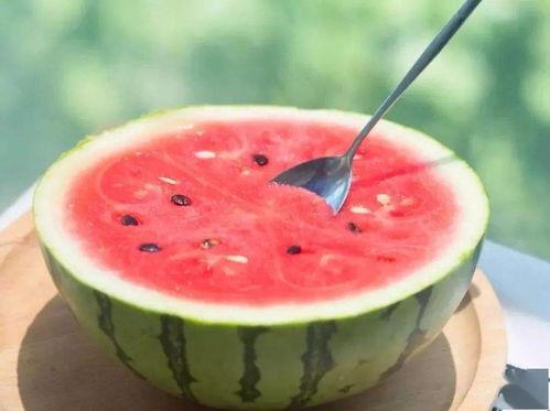 吃瓜网免费官网,畅享海量资讯，轻松获取热门八卦  第3张